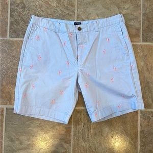 J. Crew Men’s Shorts | Light Blue w/ Flamingo Pattern | Size 36W